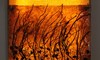 https://www.gilastein.com/Assets/Images/2/2/Small/14c_NATURE_IN_GROTH_(illuminated).jpg